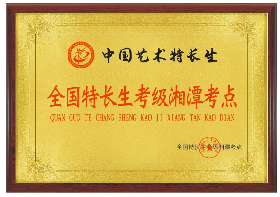 全国艺术特长生认证 铜牌